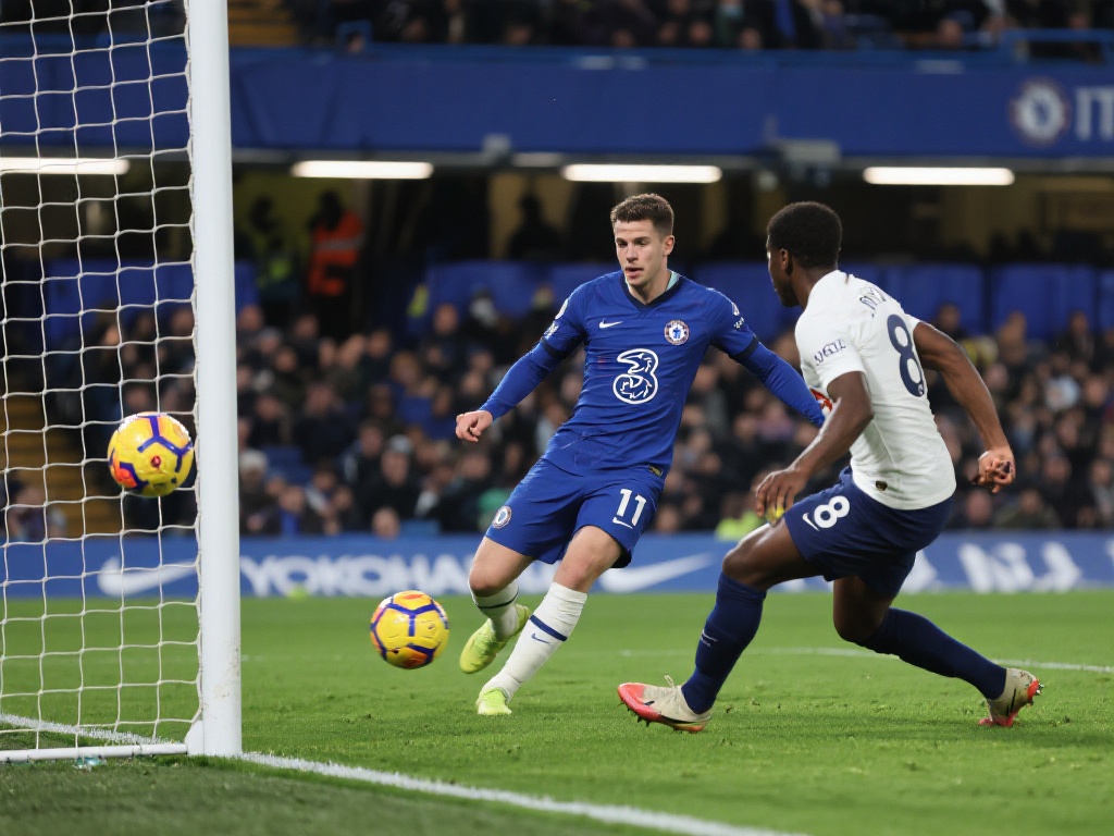 清晰地了解 清晰地了解